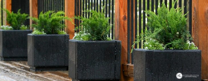 Planting-Container-Evergreens-DIY-Patio-Paver-Planters-readysetgro--730x285